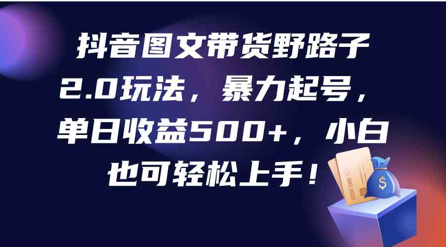 （9790期）抖音图文带货野路子2.0玩法，暴力起号，单日收益500+，小白也可轻松上手！-智赚网创