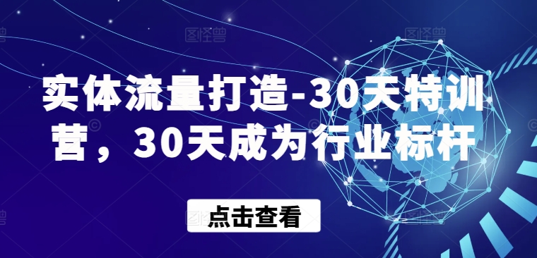 实体流量打造-30天特训营，30天成为行业标杆-智赚网创