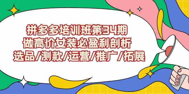 （9333期）拼多多培训班第34期：做高价女装必盈利剖析  选品/测款/运营/推广/拓展-智赚网创