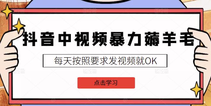 2022抖音中视频暴力薅羊毛白嫖项目：新号每天20块，老号几天几百块，可多号￼-智赚网创