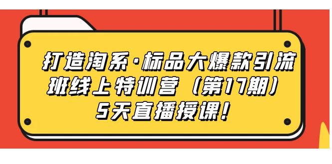 打造淘系·标品大爆款引流班线上特训营（第17期）5天直播授课！-智赚网创