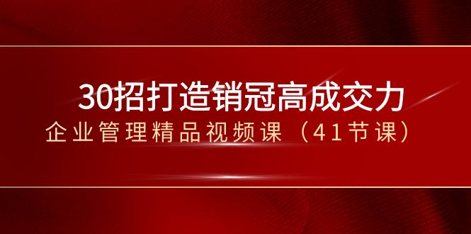 30招-打造销冠高成交力-企业管理精品视频课（41节课）-智赚网创