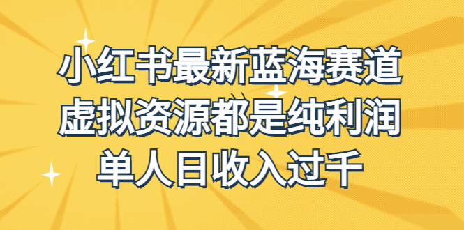 外面收费1980的小红书最新蓝海赛道，虚拟资源都是纯利润，单人日收入过千-智赚网创