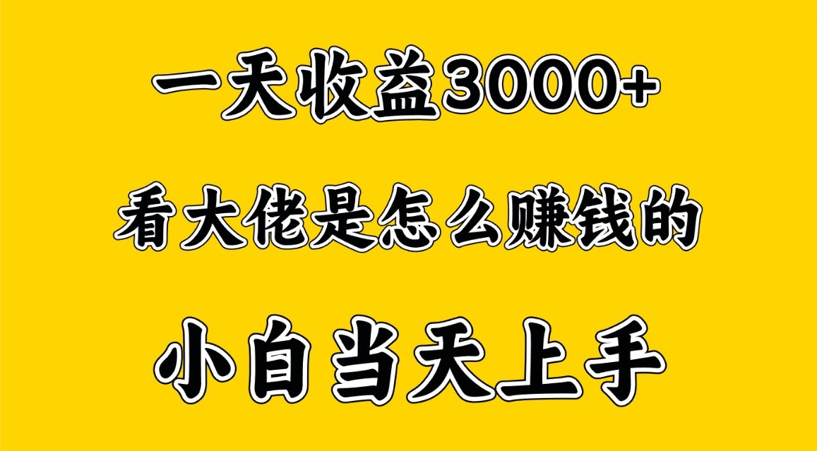 一天赚3000多，大佬是这样赚到钱的，小白当天上手，穷人翻身项目-智赚网创