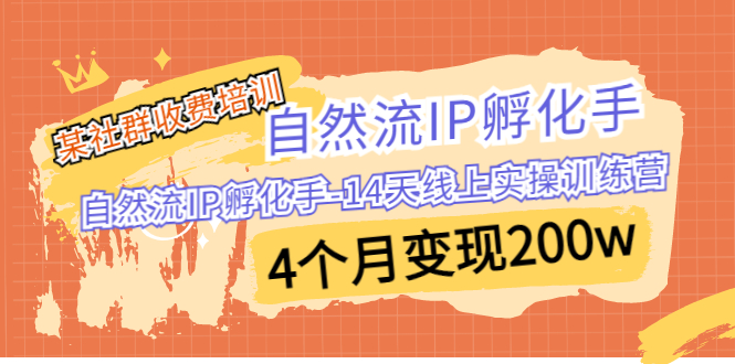某社群收费培训：自然流IP 孵化手-14天线上实操训练营 4个月变现200w-智赚网创