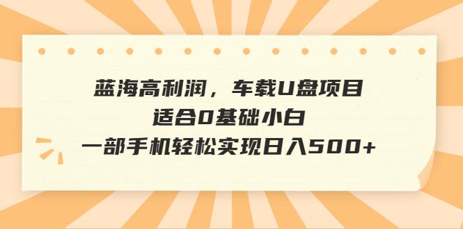 蓝海高利润，车载U盘项目，适合0基础小白，一部手机轻松实现日入500+-智赚网创