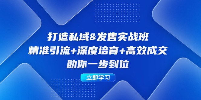 打造私域&发售实操班：精准引流+深度培育+高效成交，助你一步到位-智赚网创