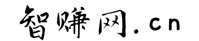 智赚网创-_全网首发_高质量项目输出