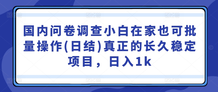 国内问卷调查小白在家也可批量操作(日结)真正的长久稳定项目，日入1k【揭秘】-智赚网创