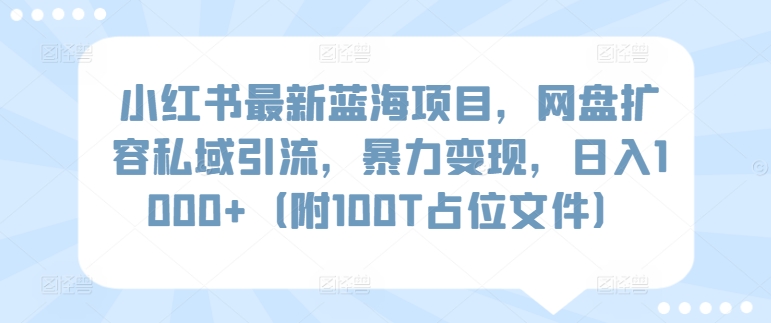 小红书最新蓝海项目，网盘扩容私域引流，暴力变现，日入1000+（附100T占位文件）-智赚网创