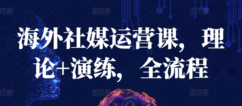 海外社媒运营课，理论+演练，全流程-智赚网创