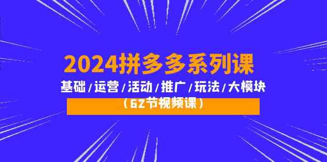 （10019期）2024拼多多系列课：基础/运营/活动/推广/玩法/大模块（62节视频课）-智赚网创