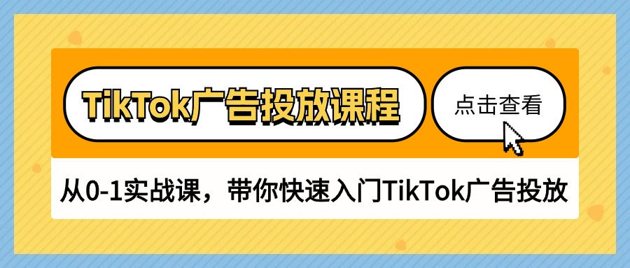 TikTok广告投放课程，从0-1实战课，带你快速入门TikTok广告投放（30节课）-智赚网创