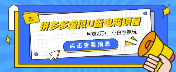 拼多多虚拟U盘电商红利项目：月赚2万+，新手小白也能玩-智赚网创