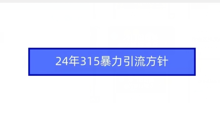 24年315暴力引流方针-智赚网创