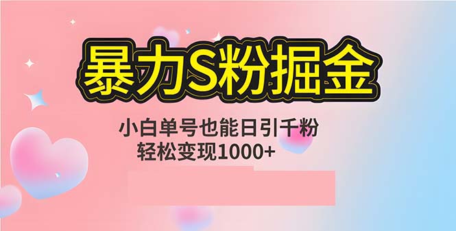 单人单机日引千粉，变现1000+，S粉流量掘金计划攻略-智赚网创