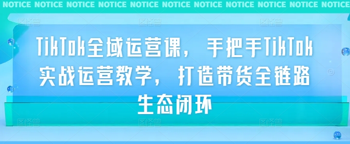 TikTok全域运营课，手把手TikTok实战运营教学，打造带货全链路生态闭环-智赚网创
