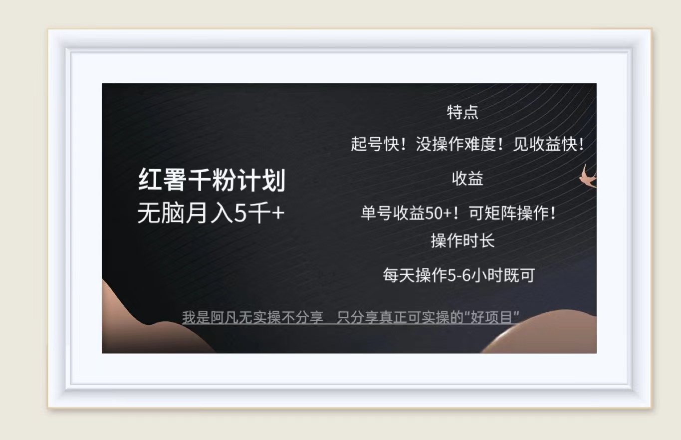（12560期）红薯千粉计划无脑月入5千+！既做既赚！-智赚网创