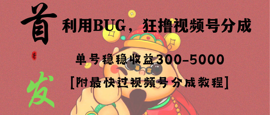 全网独家首发，视频号BUG，超短期项目，单号每日净收益300-5000！-智赚网创
