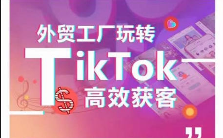 外贸工厂玩转TikTok高效获客，多种引流方式与账号定位技巧，拆解爆款短视频打造成功案例-智赚网创