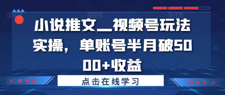 小说推文—视频号玩法实操，单账号半月破5000+收益-智赚网创