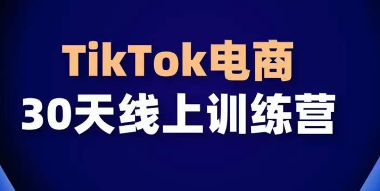 TikTok电商带货30天线上课，不可错过的全球流量洼地！-智赚网创
