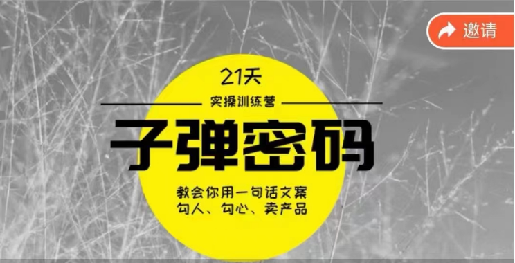 《子弹密码训练营》用一句话文案勾人勾心卖产品，21天学到顶尖文案大师策略和技巧-智赚网创