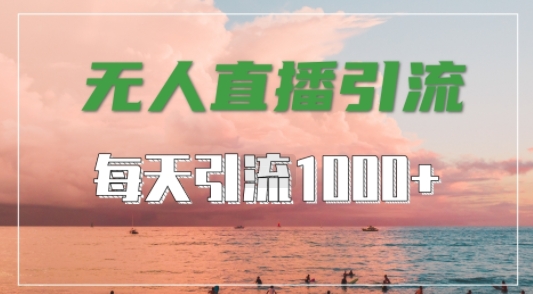 抖音快手视频号全平台通用，无人直播引流法，超暴力引流1000+高质量精准创业粉【揭秘】-智赚网创