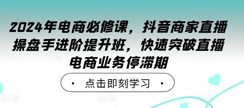 2024年电商必修课，抖音商家直播操盘手进阶提升班，快速突破直播电商业务停滞期-智赚网创