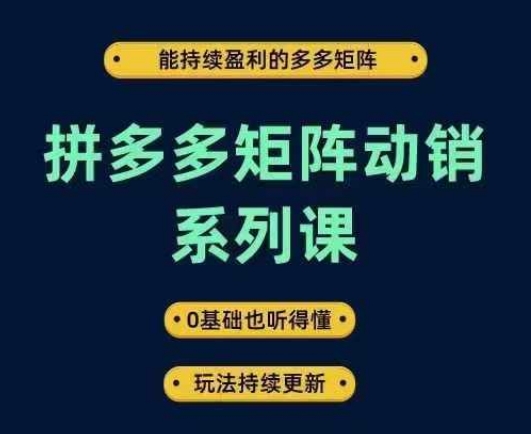 拼多多矩阵动销系列课，能持续盈利的多多矩阵，0基础也听得懂，玩法持续更新-智赚网创