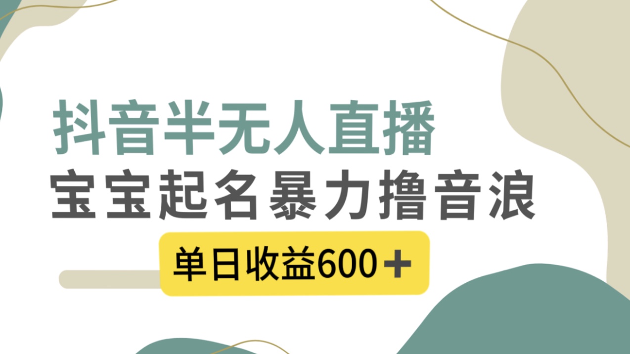 抖音半无人直播，宝宝起名，暴力撸音浪，单日收益600+-智赚网创