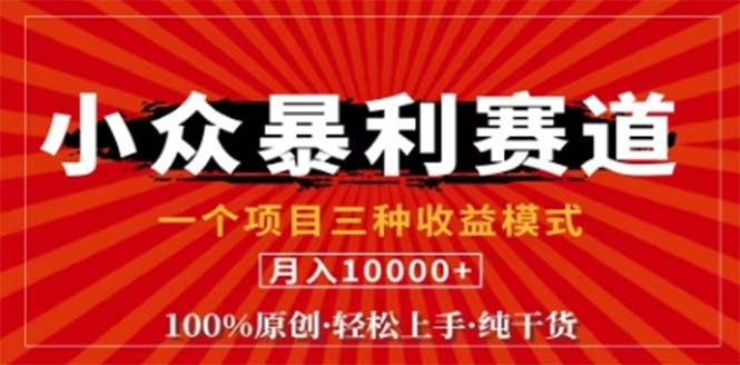 视频号最新爆火赛道，三种可收益模式，0粉新号条条原创条条热门 日入1000+-智赚网创