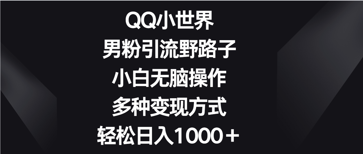 QQ小世界男粉引流野路子，小白无脑操作，多种变现方式轻松日入1000＋-智赚网创