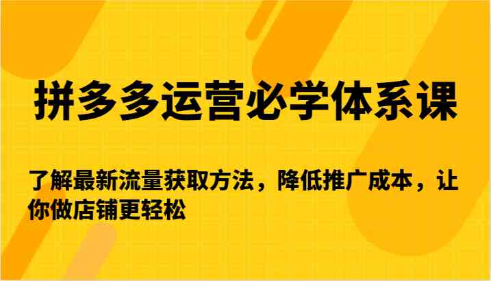 拼多多运营必学体系课-了解最新流量获取方法，降低推广成本，让你做店铺更轻松-智赚网创