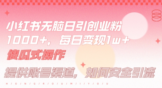 小红书无脑每日引流创业粉500+，小白每天只花半小时，躺赚长尾收益【揭秘】-智赚网创