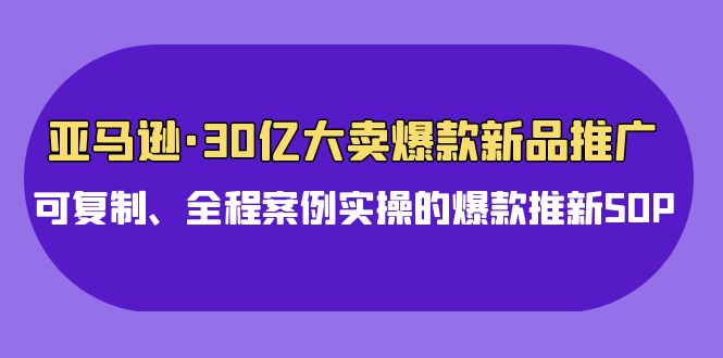 亚马逊30亿大卖爆款新品推广，可复制、全程案例实操的爆款推新SOP-智赚网创