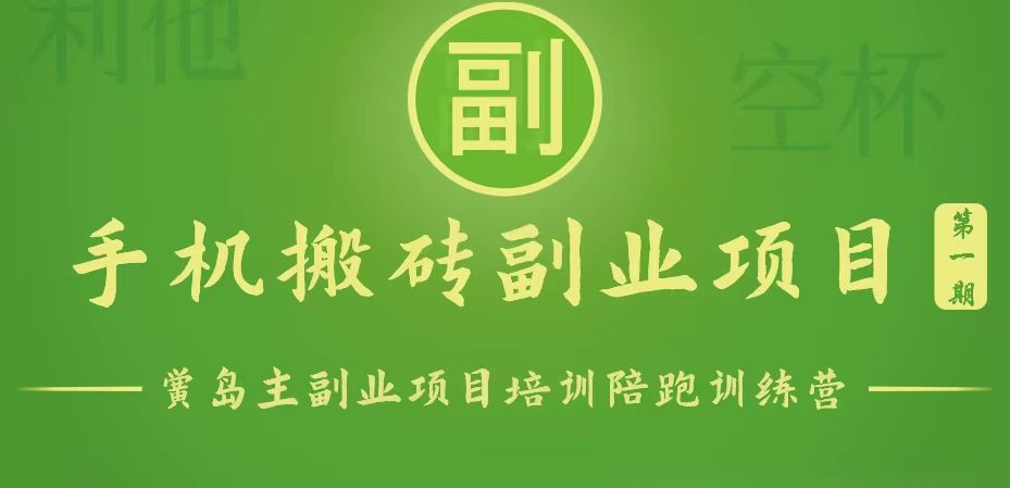 手机搬砖小副业项目训练营1.0，能用手机做的简单小副业-智赚网创