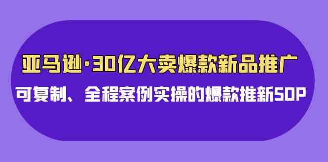 （9944期）亚马逊30亿·大卖爆款新品推广，可复制、全程案例实操的爆款推新SOP-智赚网创