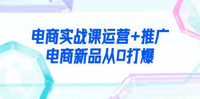 （9313期）电商实战课运营+推广，电商新品从0打爆（99节视频课）-智赚网创