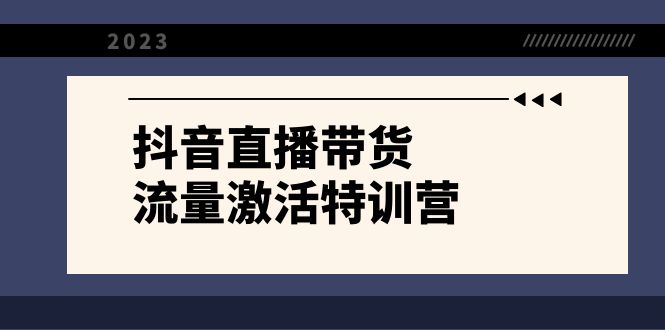 抖音直播带货-流量激活特训营，入行新手小白主播必学（21节课+资料）-智赚网创