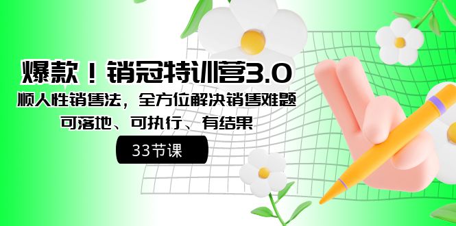 爆款！销冠特训营3.0之顺人性销售法，全方位解决销售难题、可落地-智赚网创