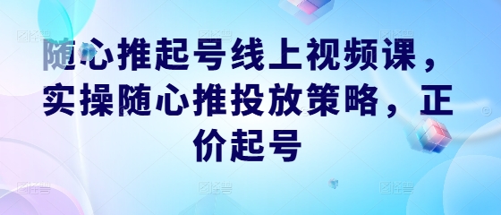 随心推起号线上视频课，实操随心推投放策略，正价起号-智赚网创