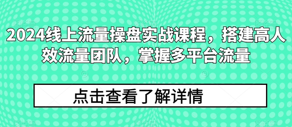 2024线上流量操盘实战课程，搭建高人效流量团队，掌握多平台流量-智赚网创