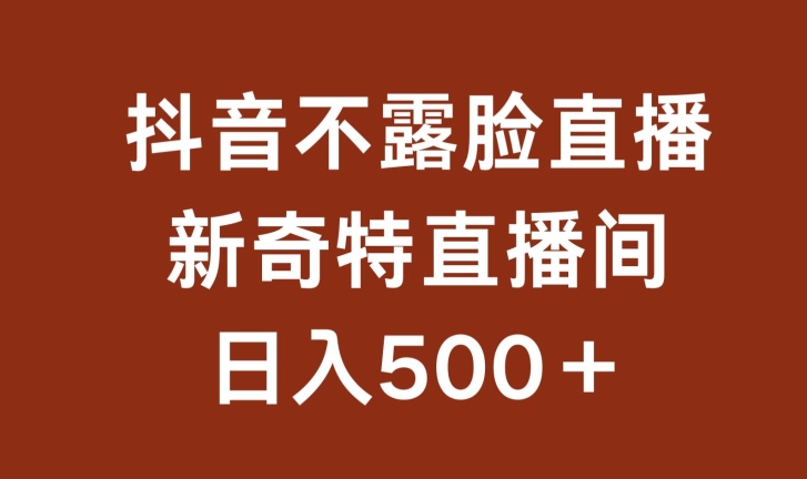 不露脸挂机直播，新奇特直播间，日入500+-智赚网创