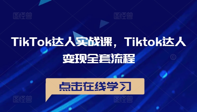 TikTok达人实战课，Tiktok达人变现全套流程-智赚网创