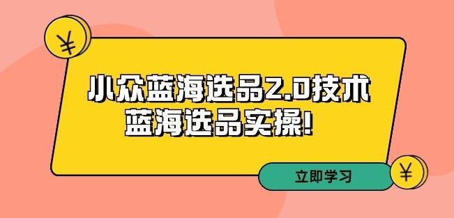 拼多多培训第33期：小众蓝海选品2.0技术-蓝海选品实操！-智赚网创