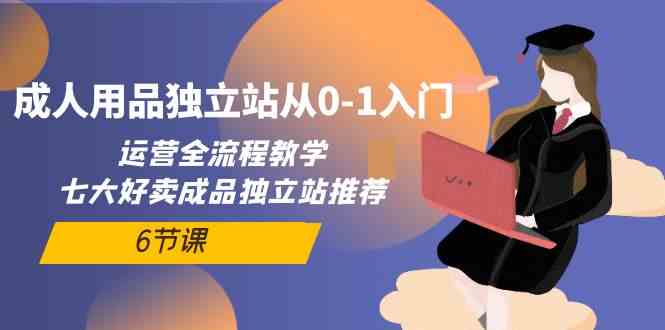 （10082期）成人用品独立站从0-1入门，运营全流程教学，七大好卖成品独立站推荐-6节课-智赚网创