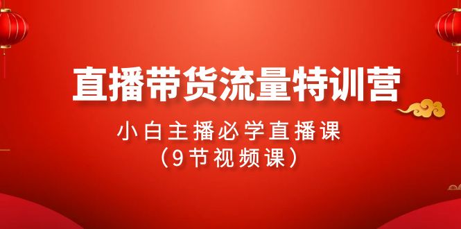 2024直播带货流量特训营，小白主播必学直播课（9节视频课）-智赚网创