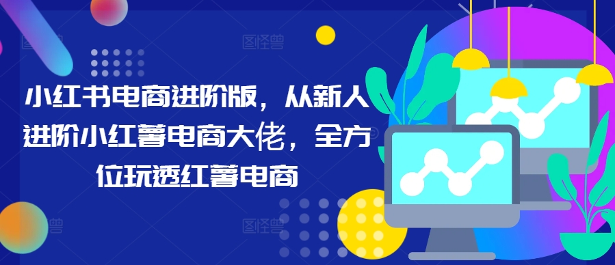 小红书电商进阶版，从新人进阶小红薯电商大佬，全方位玩透红薯电商-智赚网创