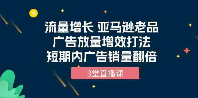 流量增长 亚马逊老品广告放量增效打法，短期内广告销量翻倍（3堂直播课）-智赚网创